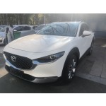 Mazda CX-30 2020 2.0L Automatic Delight Edition