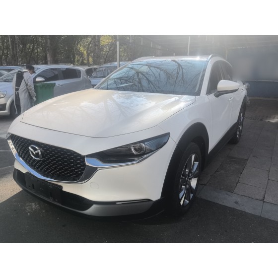 Mazda CX-30 2020 2.0L Automatic Delight Edition