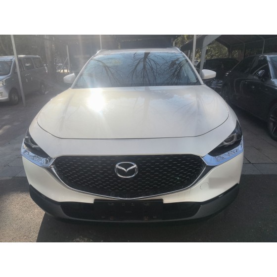 Mazda CX-30 2020 2.0L Automatic Delight Edition