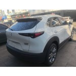 Mazda CX-30 2020 2.0L Automatic Delight Edition